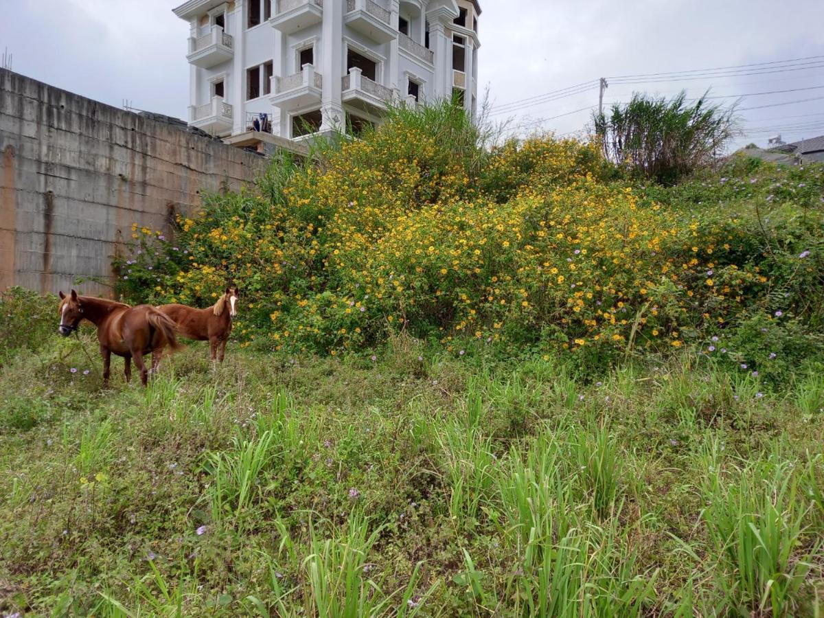 Kp Villa Dalat Exteriér fotografie